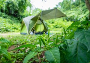 camping di lembang